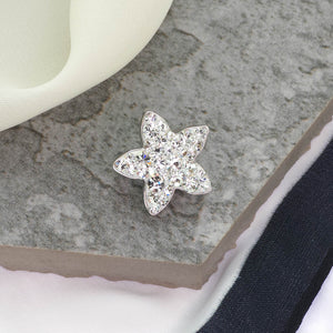 Shinning Star Brooch Shinning Star Brooch